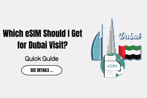 Which eSIM Should I Get for Dubai Visit?